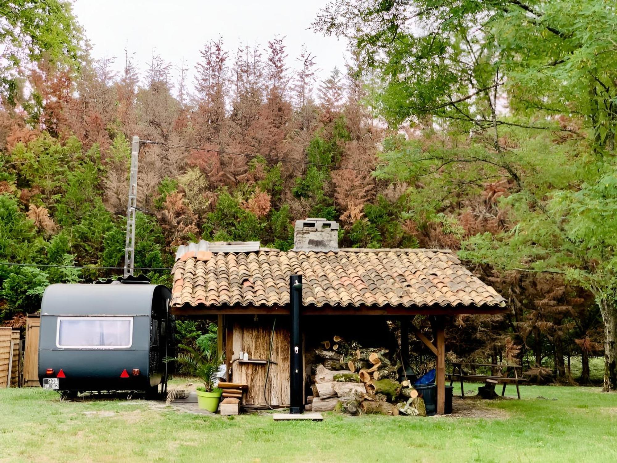 Into The Wild - Nos 5 Logements "Atypiques" Belin-Beliet Exteriör bild