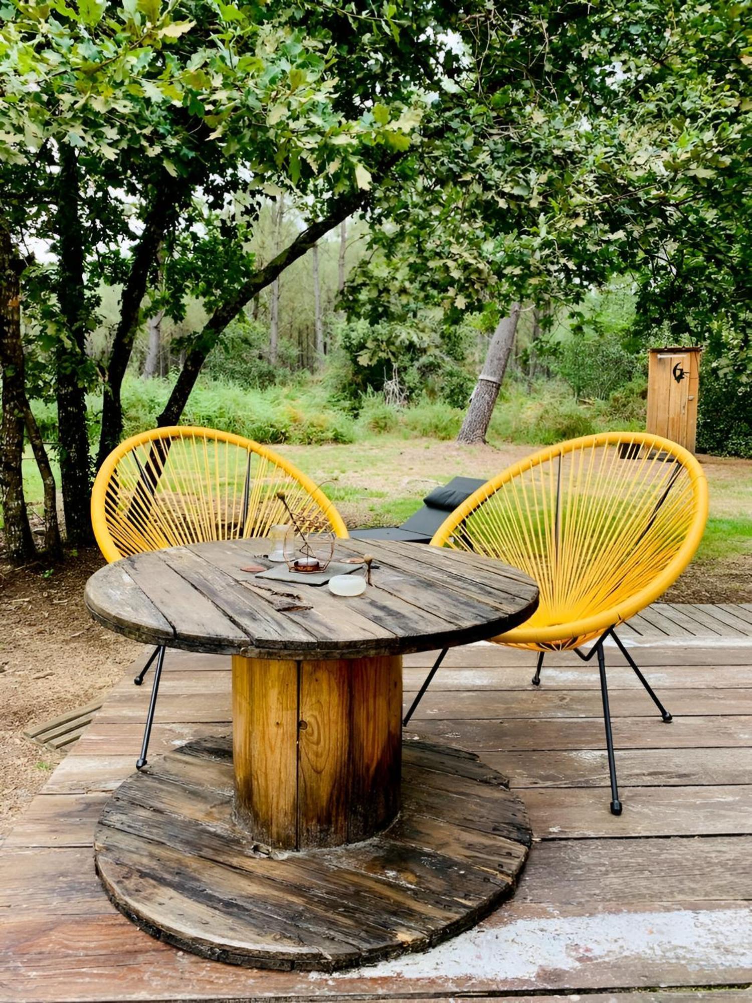 Into The Wild - Nos 5 Logements "Atypiques" Belin-Beliet Rum bild