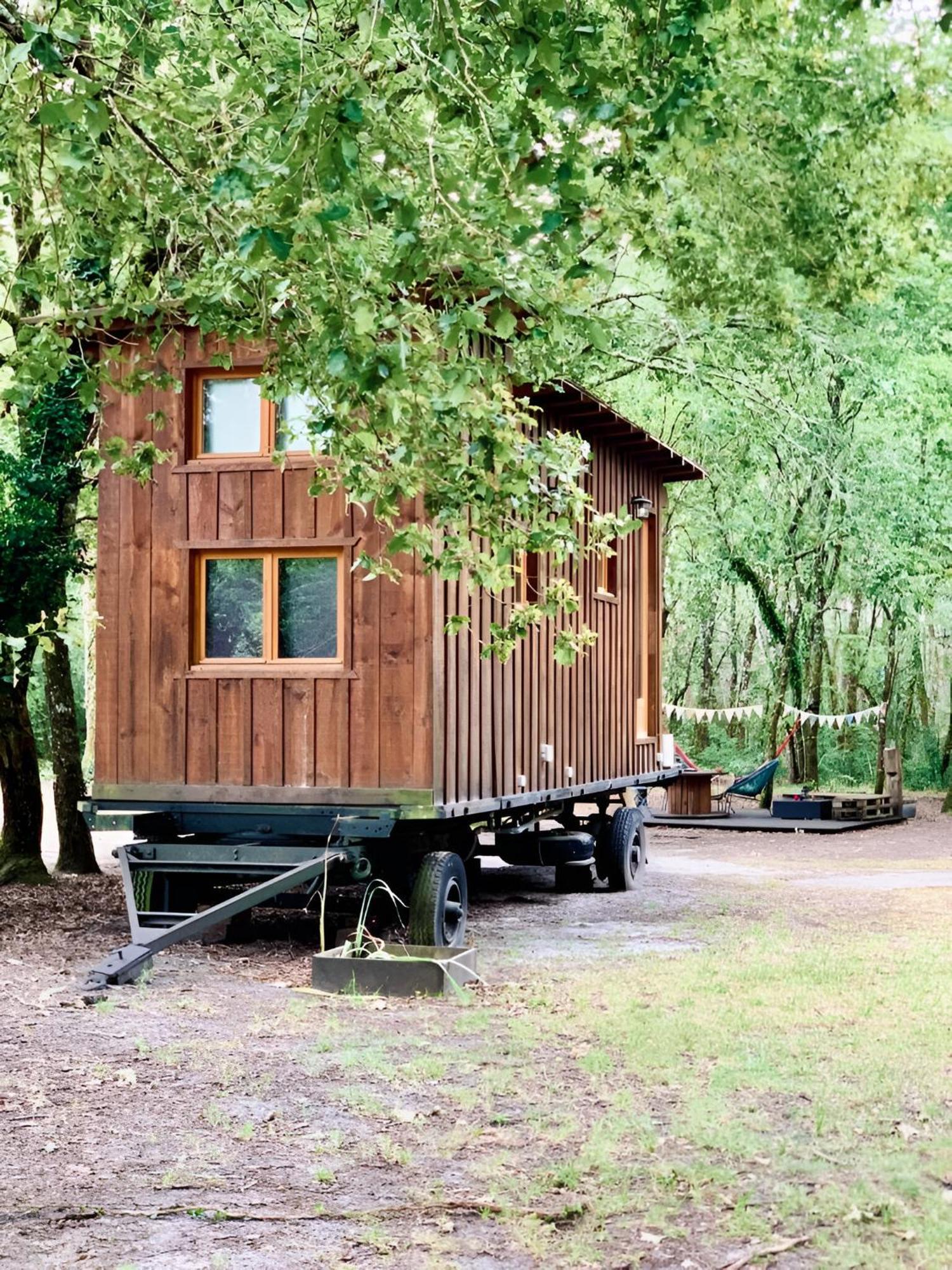 Into The Wild - Nos 5 Logements "Atypiques" Belin-Beliet Rum bild